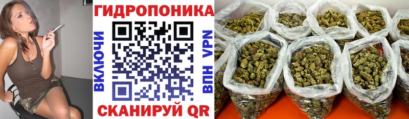 Как найти наркотики Великий Новгород МАРИХУАНА  СОЛЬ  Мефедрон  COCAIN 