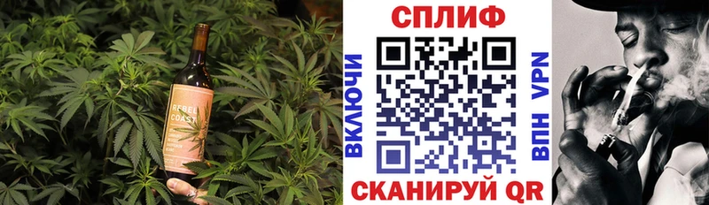 Cannafood конопля  блэк спрут ссылка  Великий Новгород 