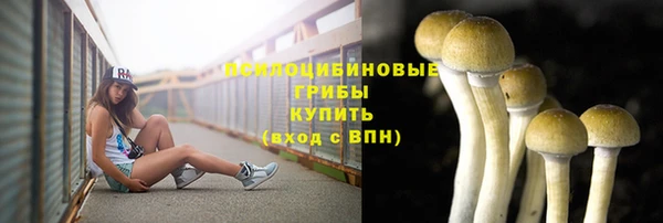 ALPHA PVP Верхнеуральск